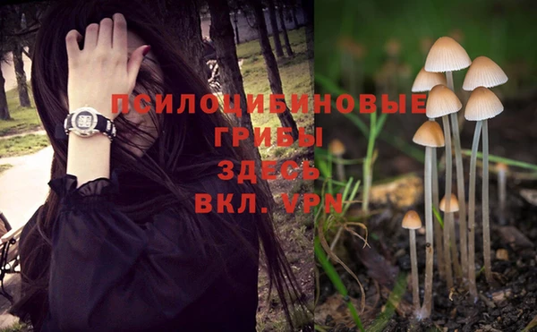 прущие грибы Абдулино