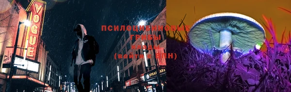 прущие грибы Абдулино